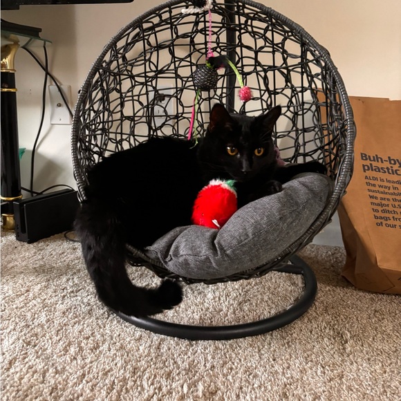 Meet your Posher, Stephanie - Picture 3 of 7